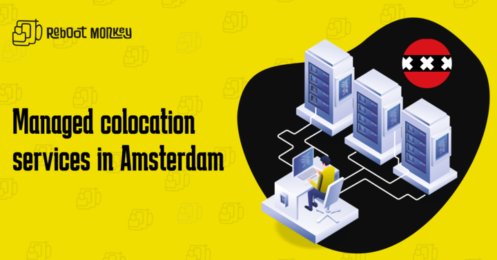 Managed Colocation Services in Amsterdam, Rome, Milan, and Montreal: Your IT Growth Hub